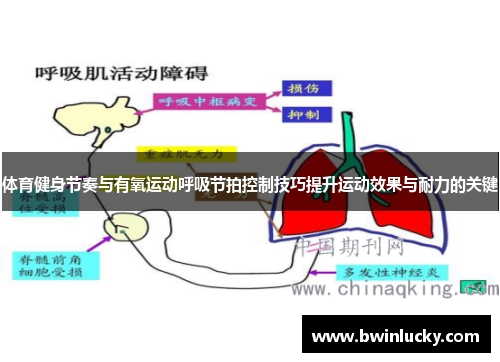 体育健身节奏与有氧运动呼吸节拍控制技巧提升运动效果与耐力的关键