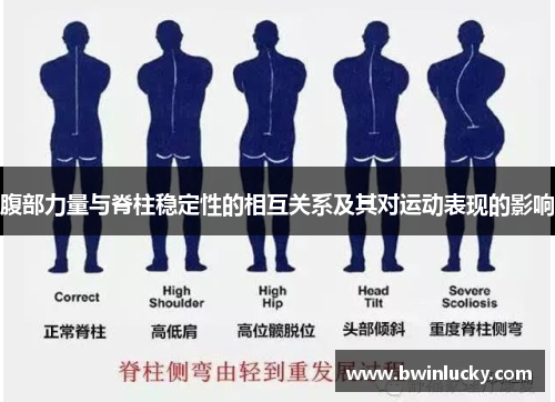 腹部力量与脊柱稳定性的相互关系及其对运动表现的影响